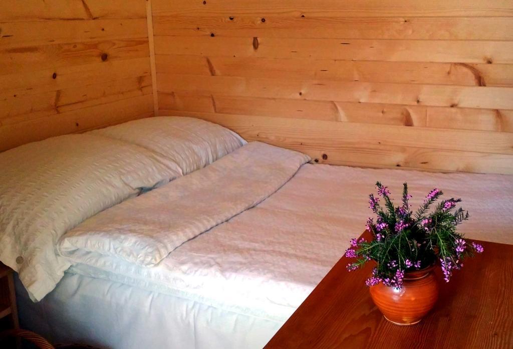 Guesthouse Planinski Dom Majerhold Solčava Esterno foto