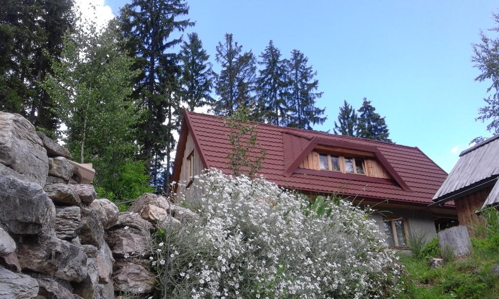 Guesthouse Planinski Dom Majerhold Solčava Esterno foto