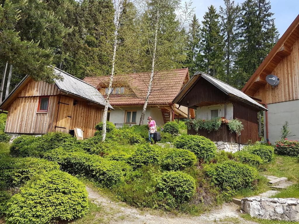 Guesthouse Planinski Dom Majerhold Solčava Esterno foto