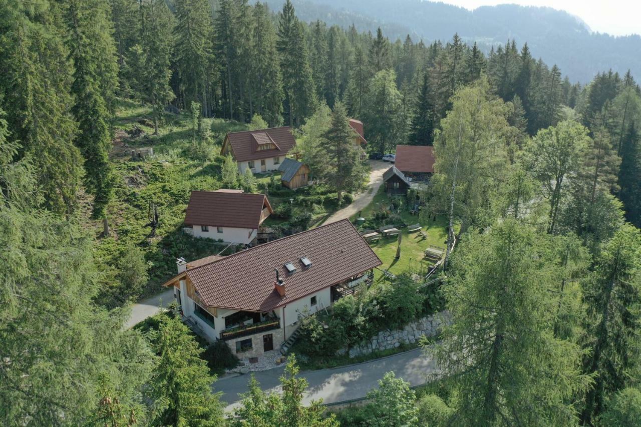 Guesthouse Planinski Dom Majerhold Solčava Esterno foto