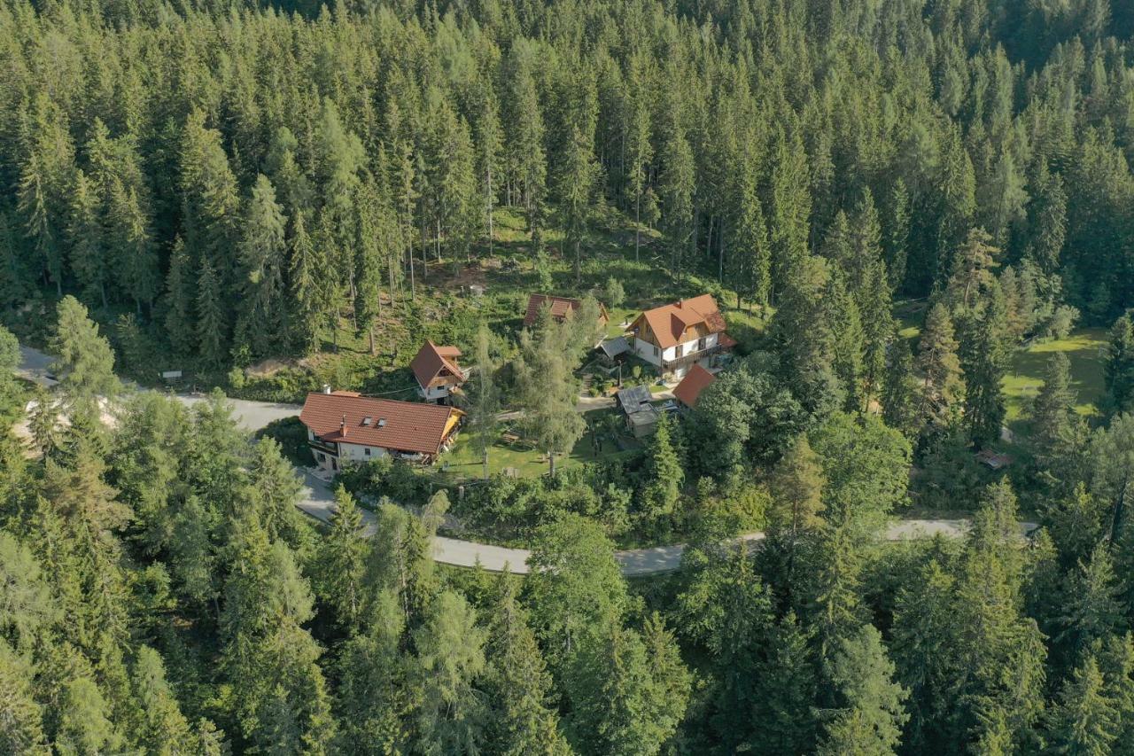 Guesthouse Planinski Dom Majerhold Solčava Esterno foto